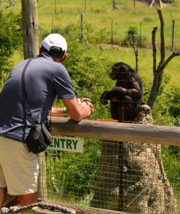 Chimp Eden